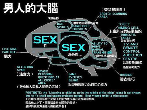 男人与女人|男女大腦「線路圖」解釋兩性差別